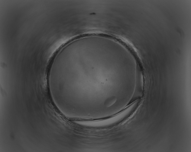 X0000090991167200708021516