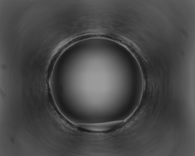 X0000090991168200708021516