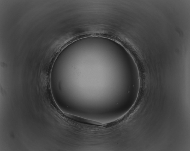 X0000090991169200708021516