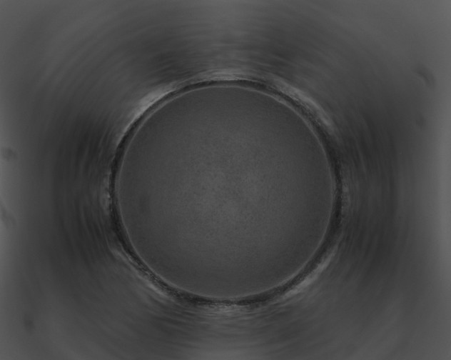 X0000090991170200708021516