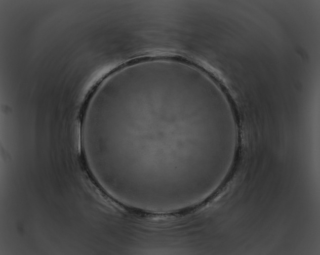 X0000090991171200708021516