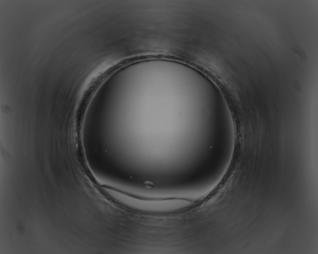 X0000090991172200708021516