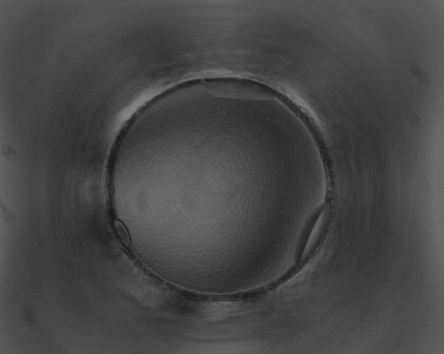 X0000090991173200708021515