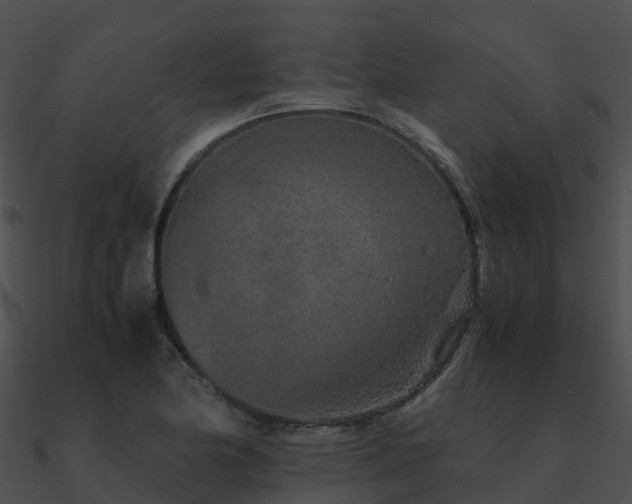 X0000090991174200708021515