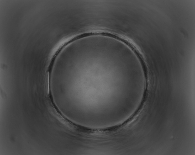 X0000090991175200708021515