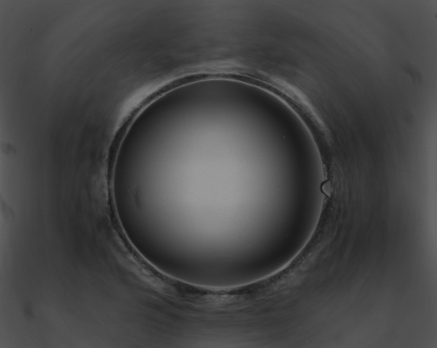X0000090991176200708021515