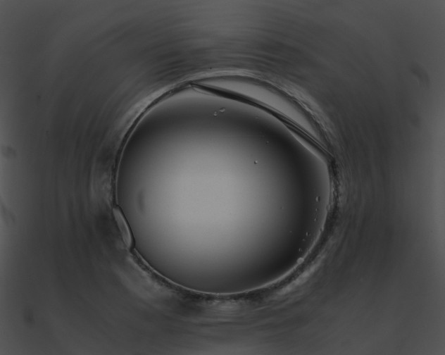 X0000090991177200708021515