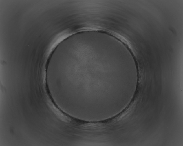 X0000090991179200708021515