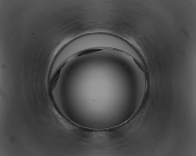 X0000090991181200708021515
