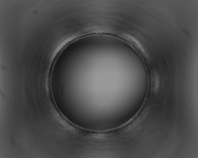 X0000090991182200708021515