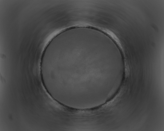 X0000090991183200708021515