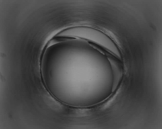 X0000090991184200708021515