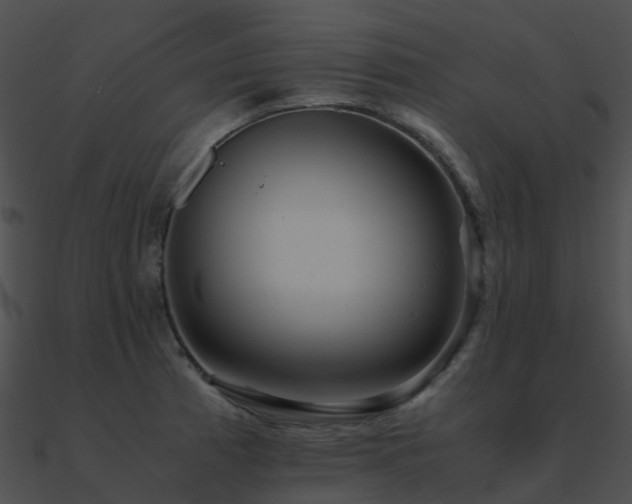 X0000090991185200708021515