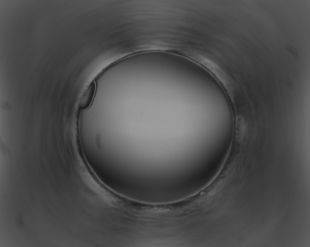 X0000090991187200708021515