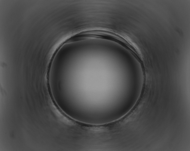 X0000090991189200708021515