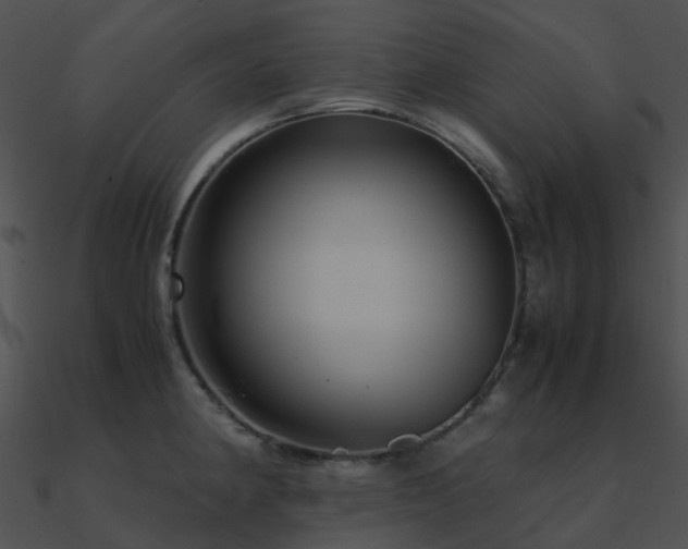 X0000090991190200708021515