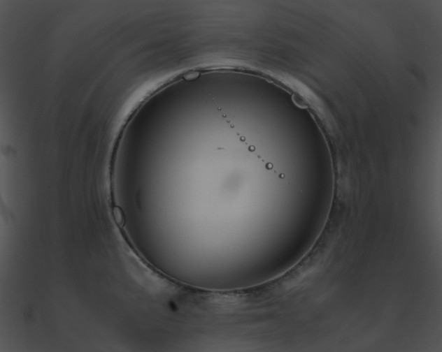 X0000090991191200708021515