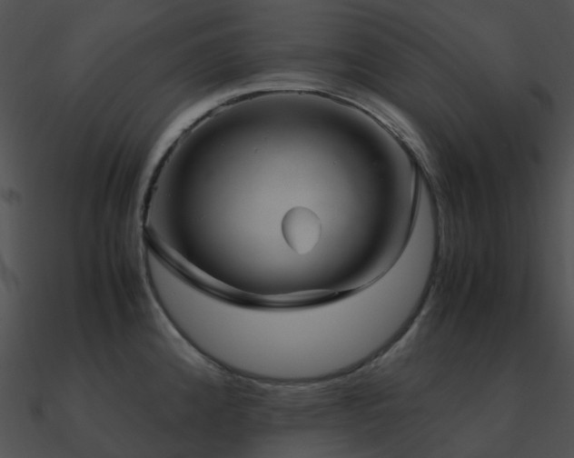 X0000090991192200708021515