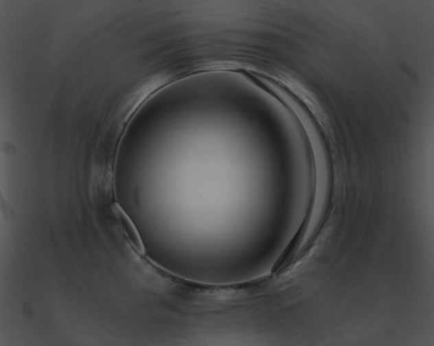X0000090991193200708021515