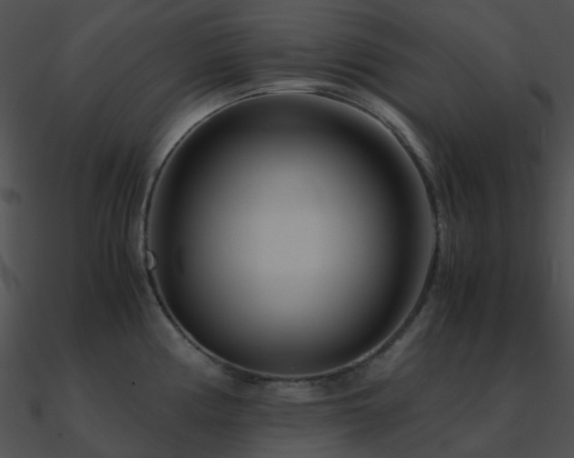 X0000090991194200708021515