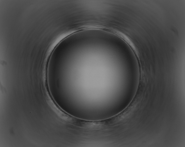 X0000090991195200708021515