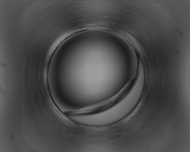 X0000090991196200708021515