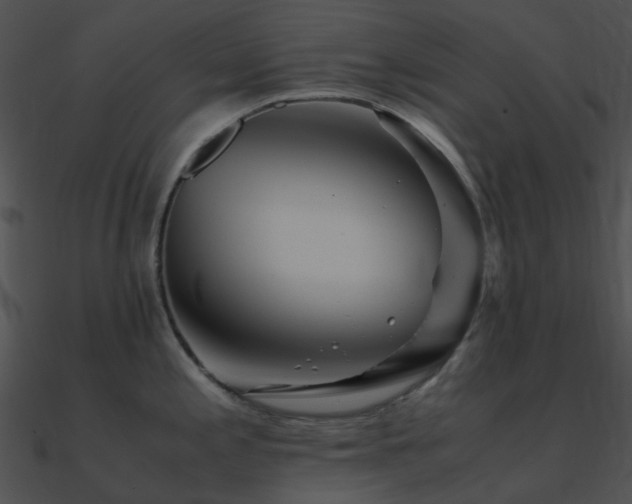 X0000090991197200708021515