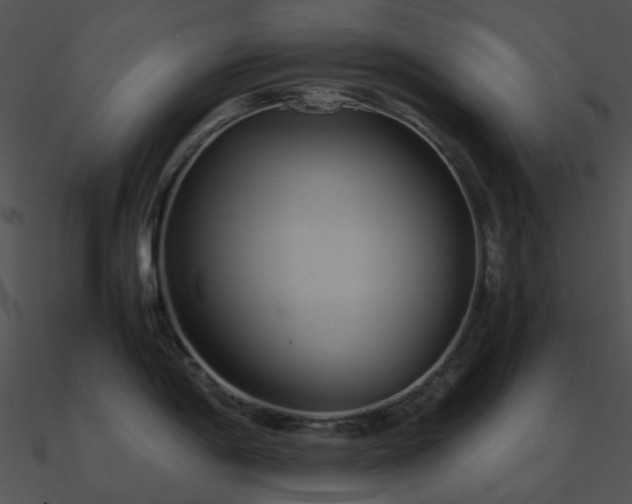 X0000090991198200708021515