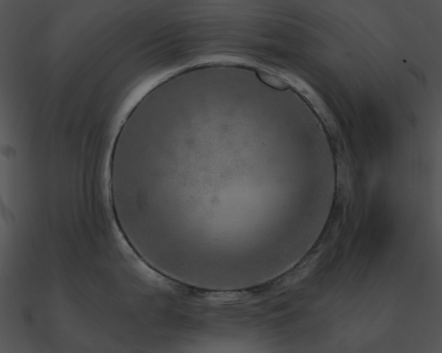 X0000090991199200708021515