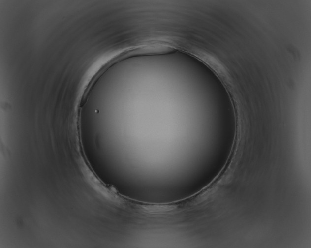 X0000090991200200708021515