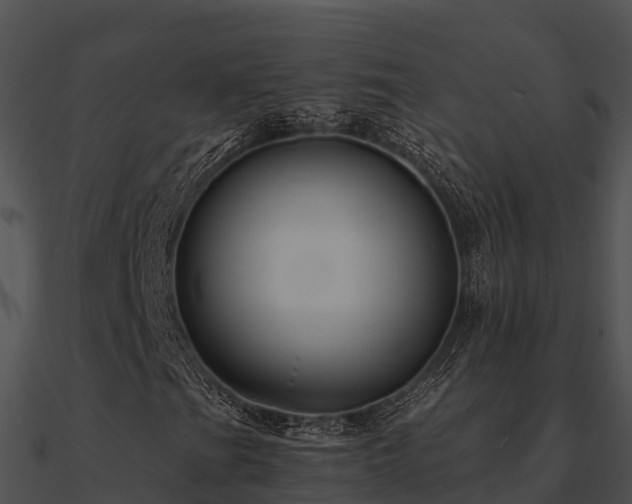 X0000090991201200708021514