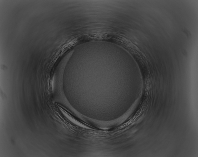 X0000090991202200708021514