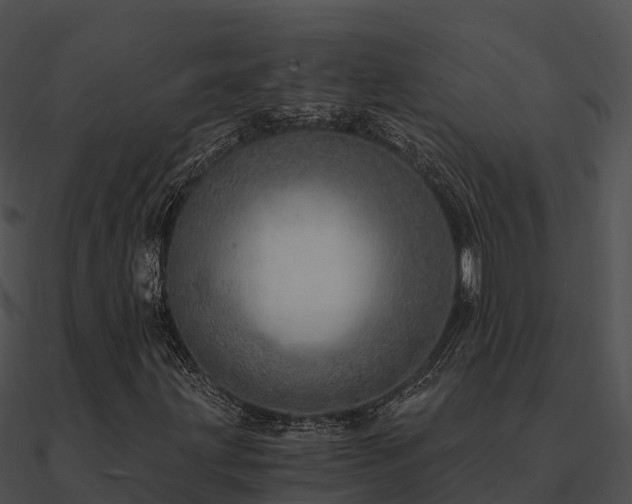 X0000090991203200708021514