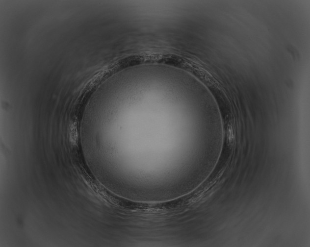 X0000090991204200708021514