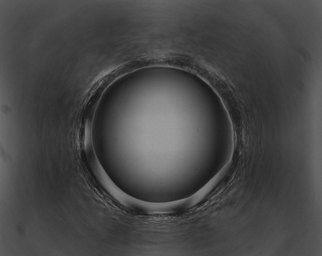 X0000090991206200708021514