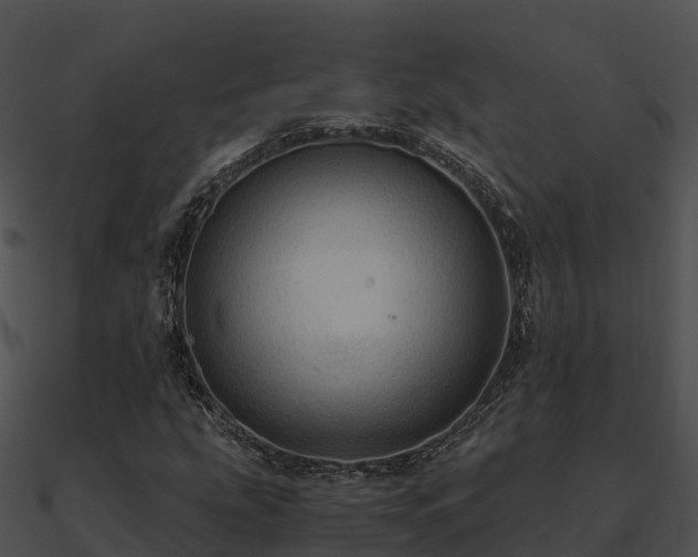 X0000090991207200708021514