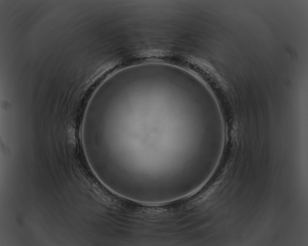 X0000090991209200708021514
