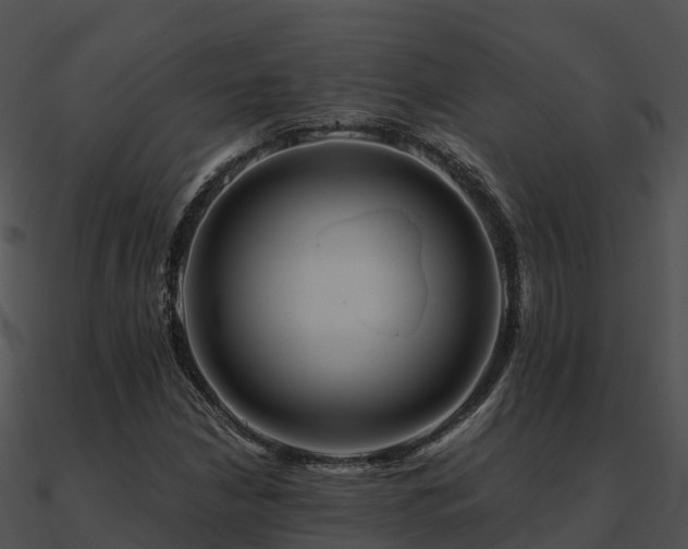 X0000090991210200708021514