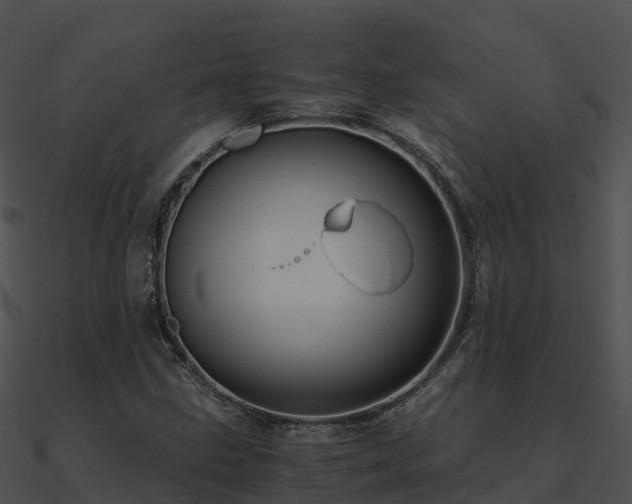 X0000090991211200708021514
