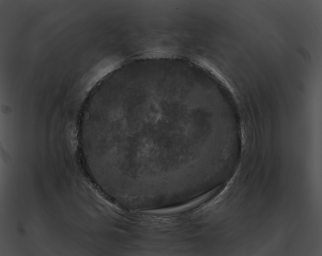 X0000090991213200708021515