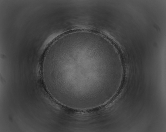 X0000090991215200708021515