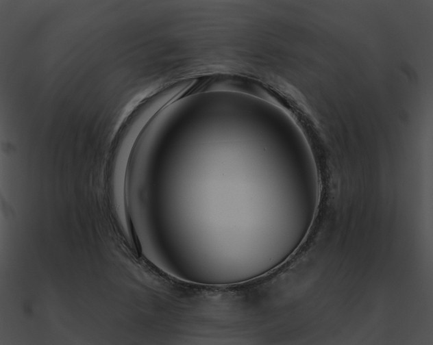 X0000090991218200708021515