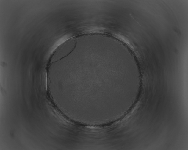 X0000090991219200708021515