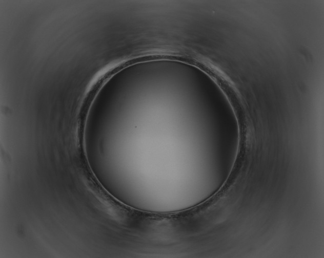 X0000090991222200708021515