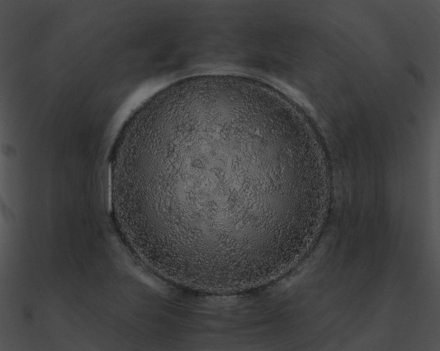 X0000090991223200708021515