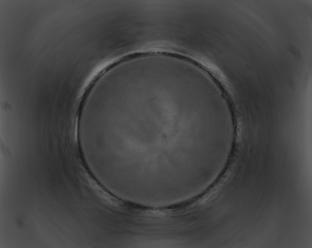 X0000090991224200708021515
