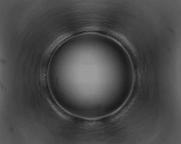 X0000090991225200708021515