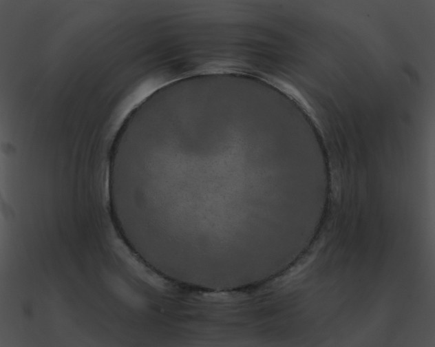 X0000090991227200708021515