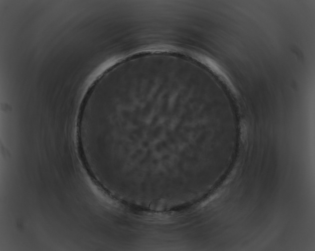 X0000090991229200708021515