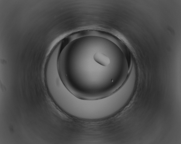 X0000090991230200708021515
